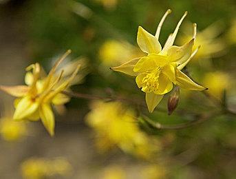 汽车战斗Roguelike动作游戏《Scaravan 66》Steam页面 发售日待定